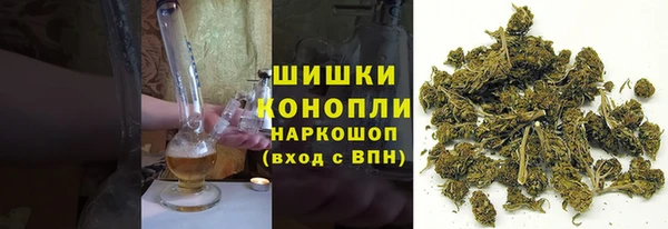 индика Абаза