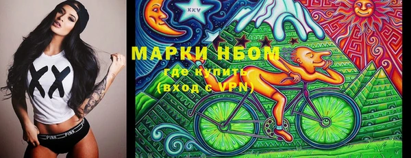 индика Абаза