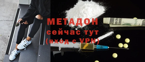 индика Абаза