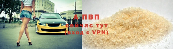 индика Абаза