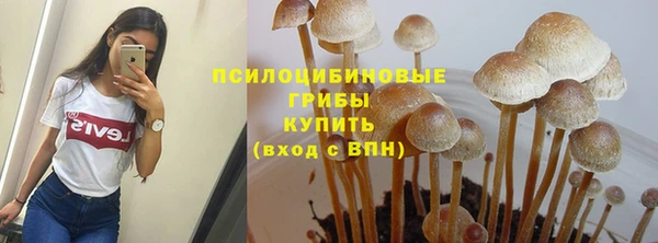 a pvp Абинск