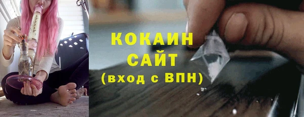 индика Абаза