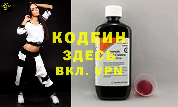 индика Абаза
