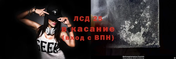 индика Абаза