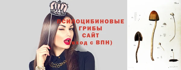 молекула духа Абдулино