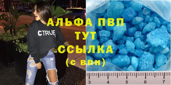 индика Абаза