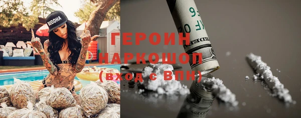 индика Абаза