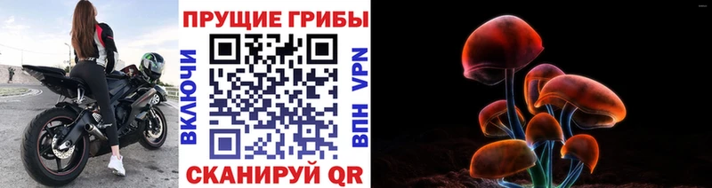 Псилоцибиновые грибы мицелий Комсомольск-на-Амуре