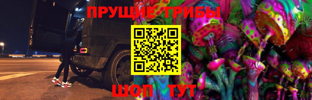 Псилоцибиновые грибы прущие грибы  Вход с VPN  Комсомольск-на-Амуре  Галлюциногенные грибы Psilocybine cubensis 